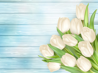 Similar image 11450306