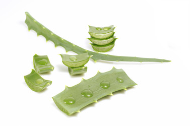 Similar image 11414684