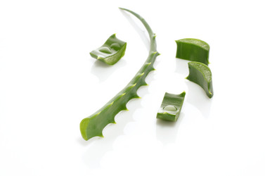 Similar image 11414685