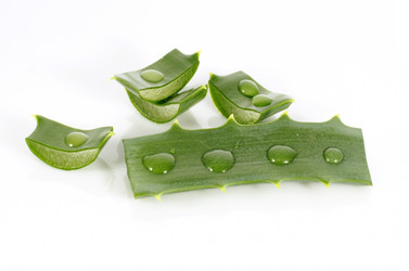 Similar image 11414688