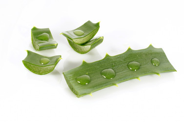 Similar image 11414689