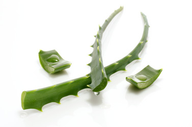 Similar image 11414699