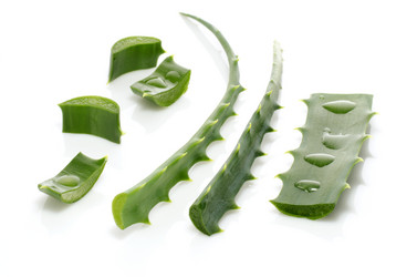 Similar image 11414702