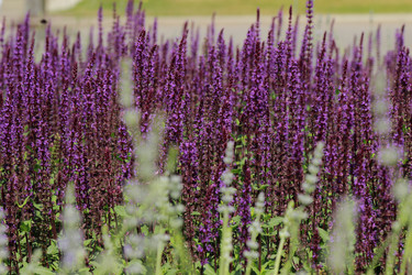 Similar image 11433406