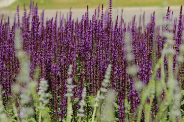 Similar image 11433408