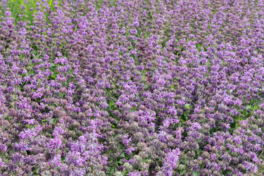 Similar image 11433286