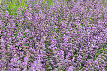 Similar image 11433288