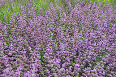 Similar image 11433326