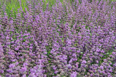 Similar image 11433366