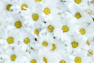 Similar image 11433412