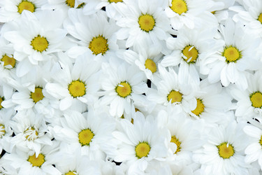 Similar image 11433426