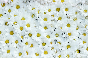 Similar image 11433427