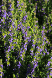 Similar image 11433508