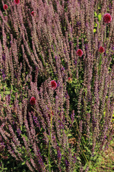 Similar image 11433509