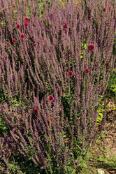 Similar image 11433510