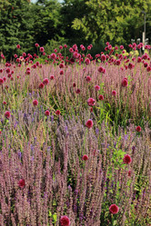 Similar image 11433527