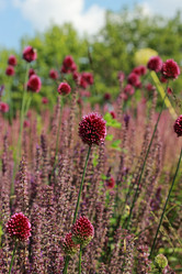 Similar image 11433529