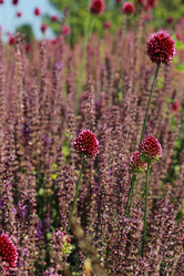 Similar image 11433530