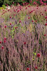 Similar image 11433531