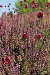 Similar image 11433532