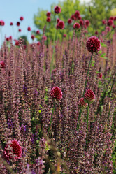 Similar image 11433533