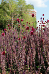 Similar image 11433534