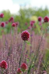 Similar image 11433535