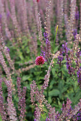 Similar image 11433604