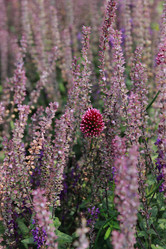 Similar image 11433605