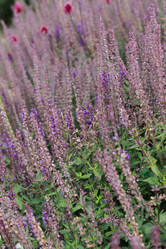 Similar image 11433606