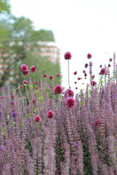 Similar image 11433607