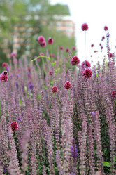 Similar image 11433608