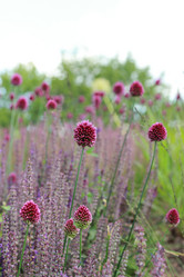 Similar image 11433609