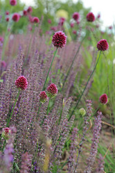 Similar image 11433610