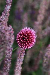 Similar image 11433624