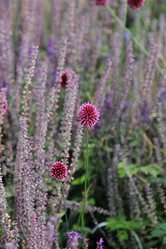 Similar image 11433625