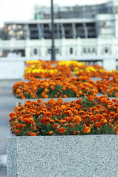 Similar image 11433636