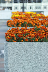 Similar image 11433637