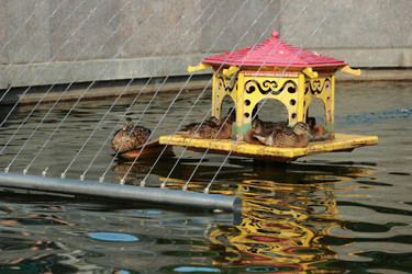 Similar image 11433640