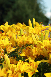 Similar image 11433641