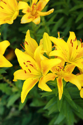 Similar image 11433642