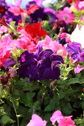 Similar image 11433645