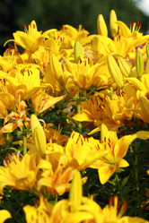 Similar image 11433648