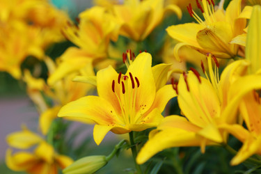 Similar image 11433649