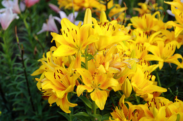 Similar image 11433650