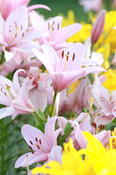 Similar image 11433665