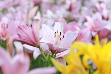 Similar image 11433666