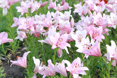 Similar image 11433667