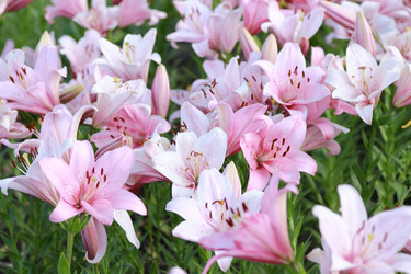 Similar image 11433668