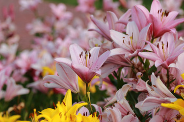 Similar image 11433669